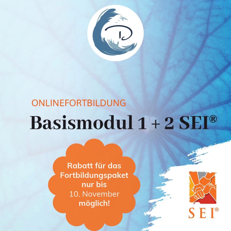 Frühe Verletzungen und Entwicklungstrauma erkennen und heilen - Basismodul 1 und 2 SEI® (Online-Fortbildung)