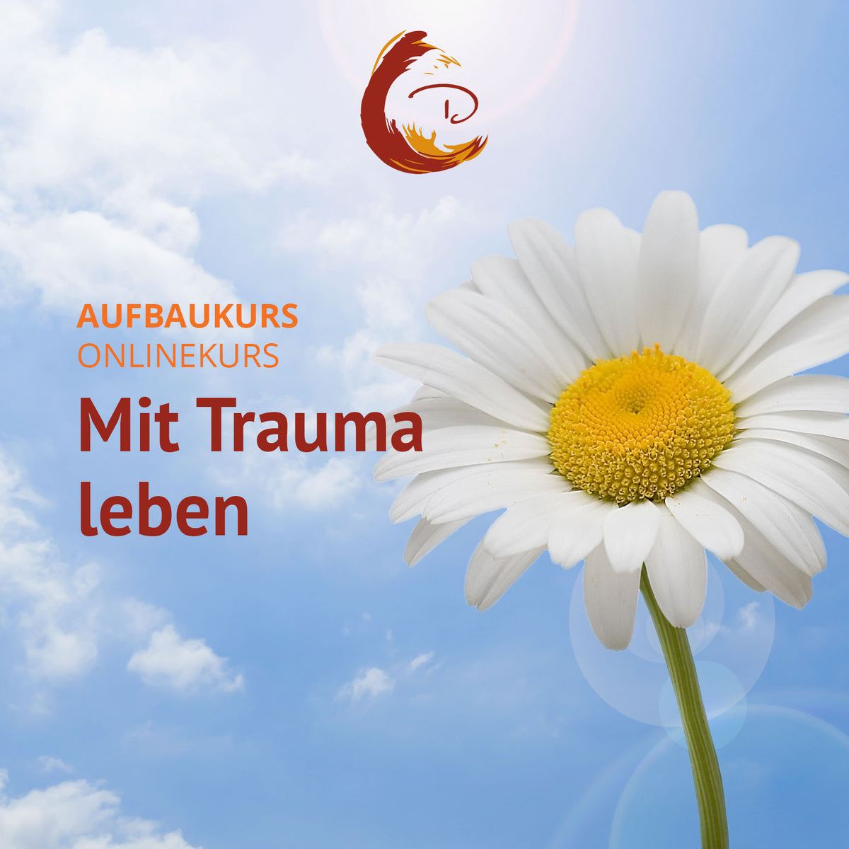 Mit Trauma leben (Aufbaukurs) - Information