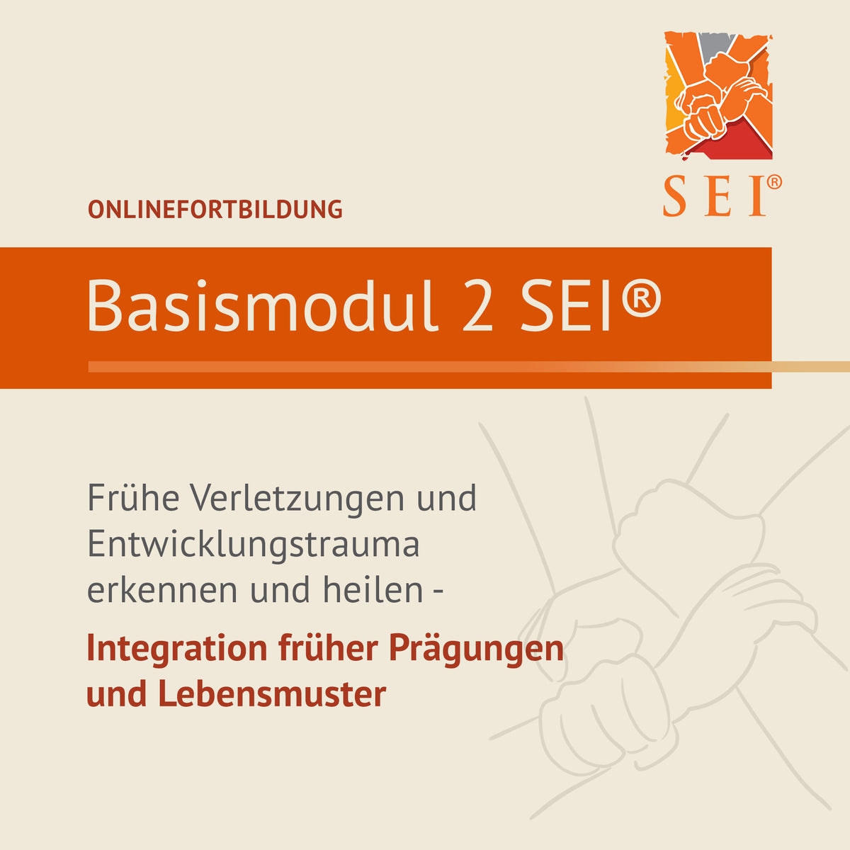 Frühe Verletzungen und Entwicklungstrauma erkennen und heilen - Basismodul 2 SEI® - Information
